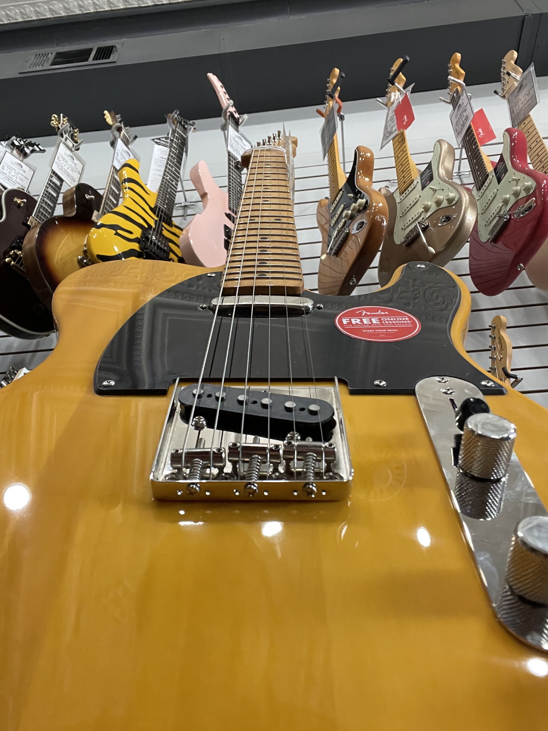 Fender Squier Classic Vibe 50s - Butterscotch Blonde - Image 5