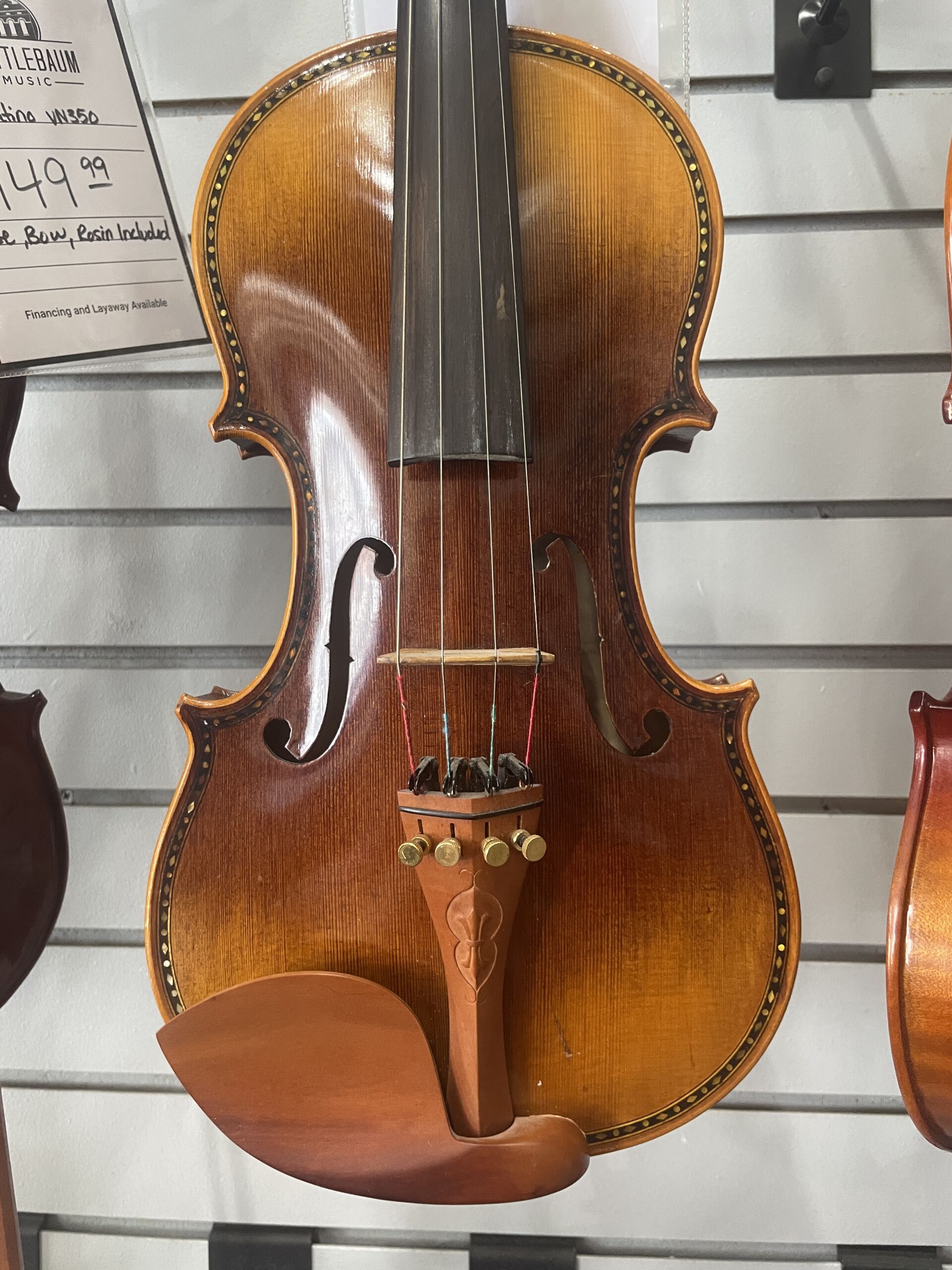 Used - Vivace VV600 - Image 2