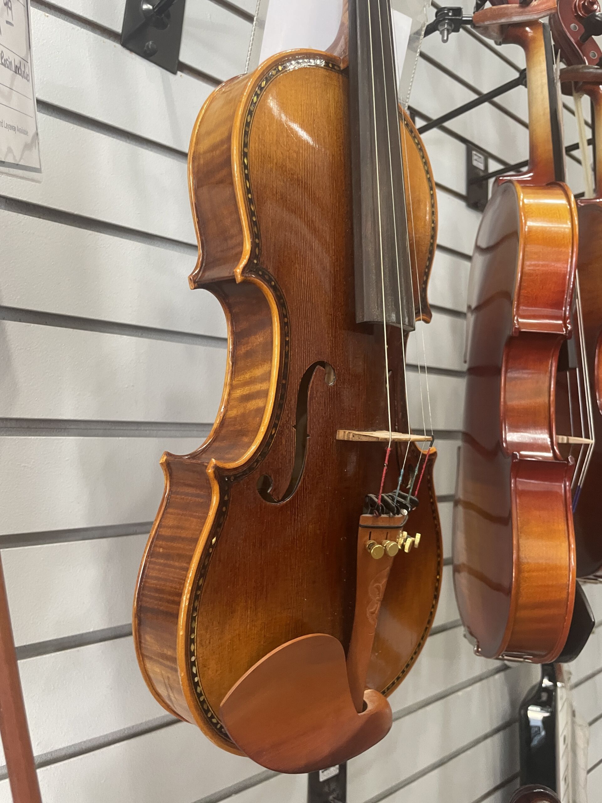 Used - Vivace VV600 - Image 4