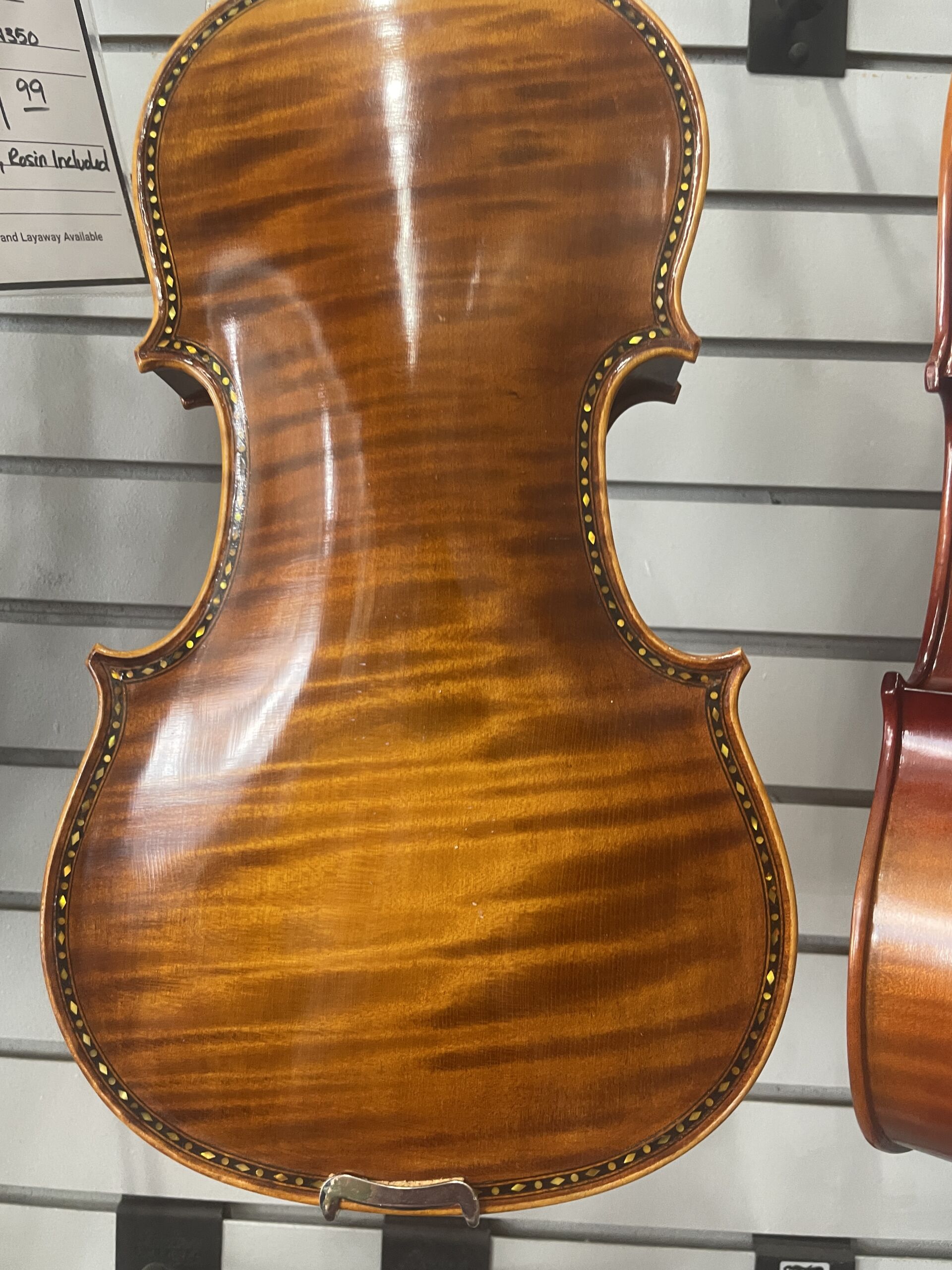 Used - Vivace VV600 - Image 6