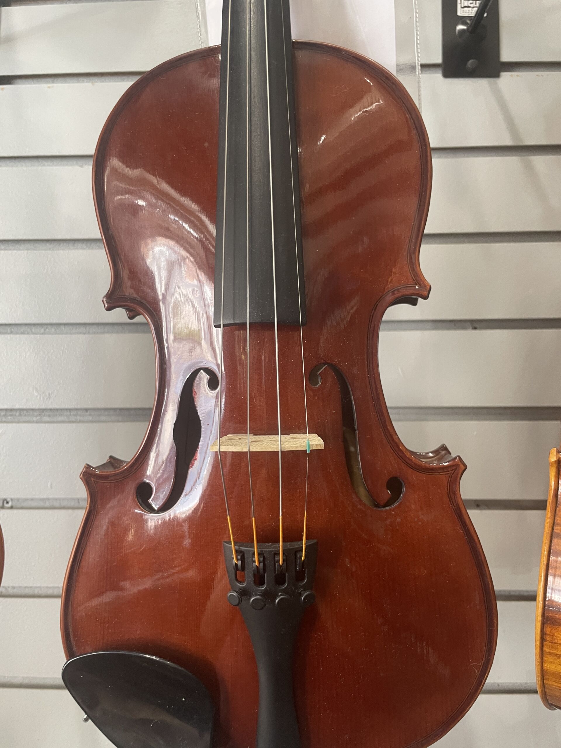 Used - Palatino VN350 - Image 2
